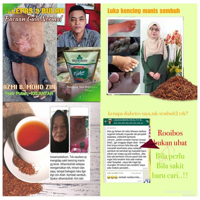 Buy 100 Original Health Builders Rooibos Organic Tea / 50 Sachets Tea